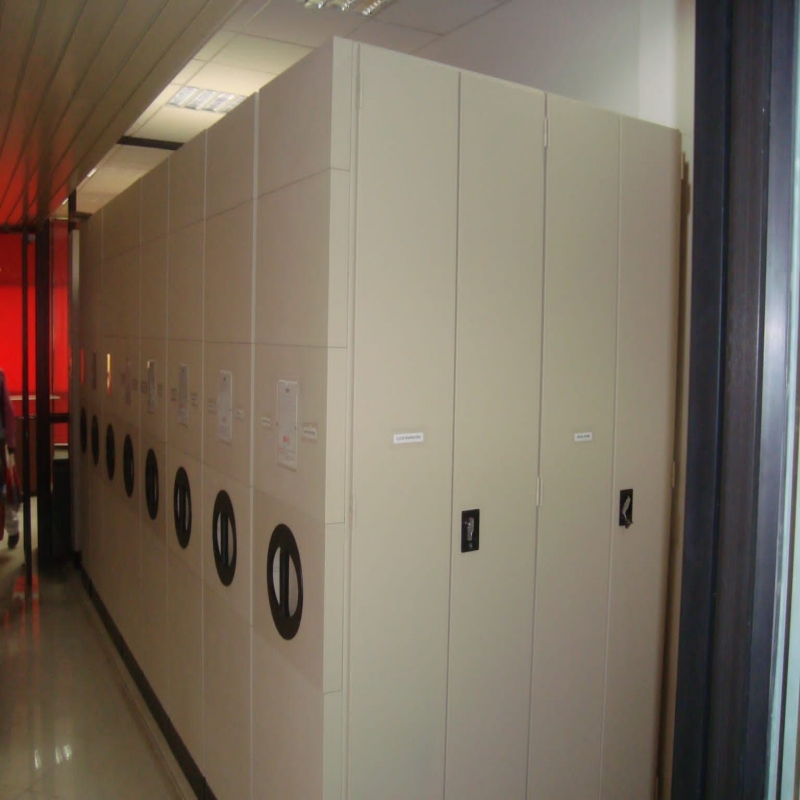 Mobile Storage System